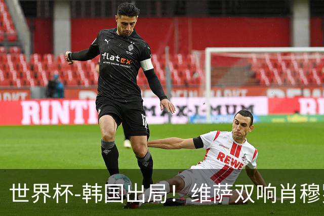 世界杯-韩国出局！维萨双响肖穆罗多夫神仙球 民主刚果3-1乌兹