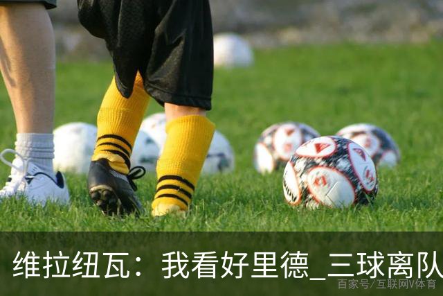 维拉纽瓦：我看好里德 三球离队黄蜂的实力反而得到了提升
