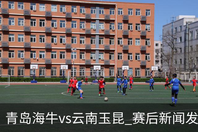 青岛海牛vs云南玉昆 赛后新闻发布会